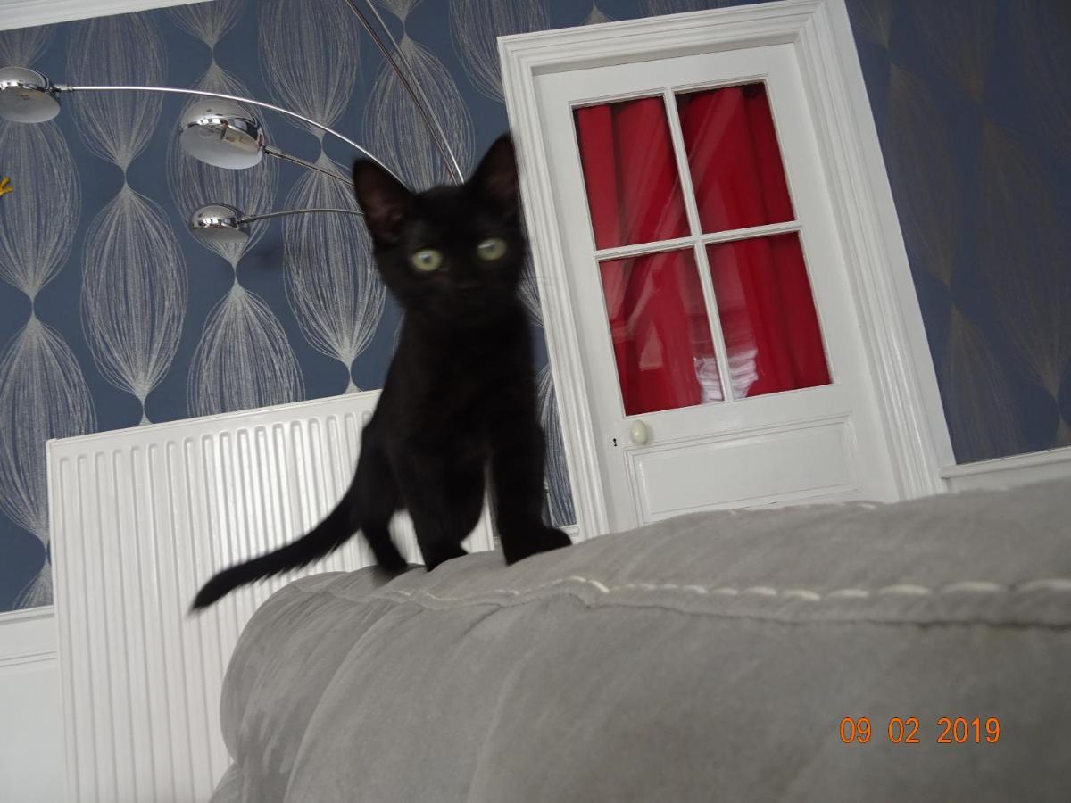 Bed & Breakfast La Ferme Aux Chats Formigny