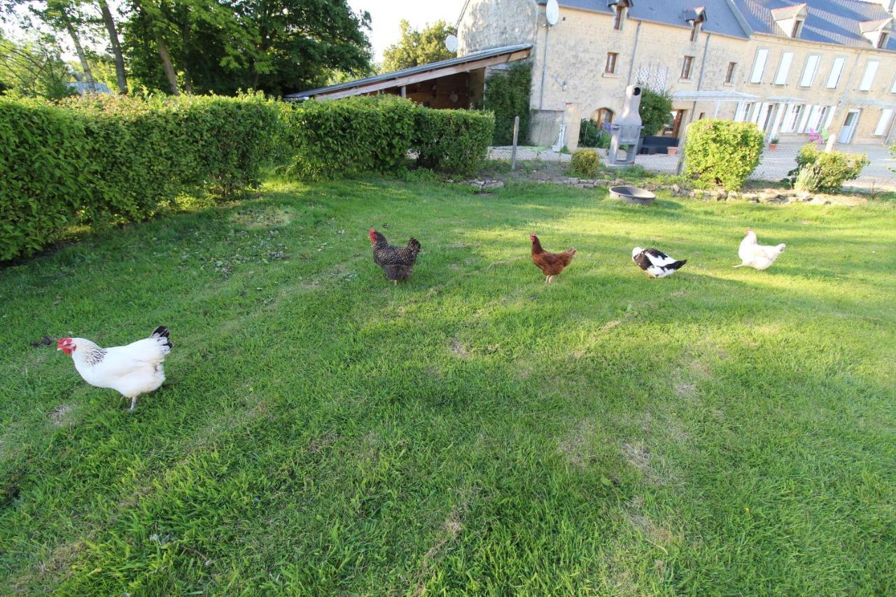 Bed & Breakfast La Ferme Aux Chats Formigny